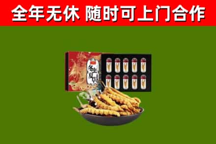 岳阳市回收冬虫夏草价格